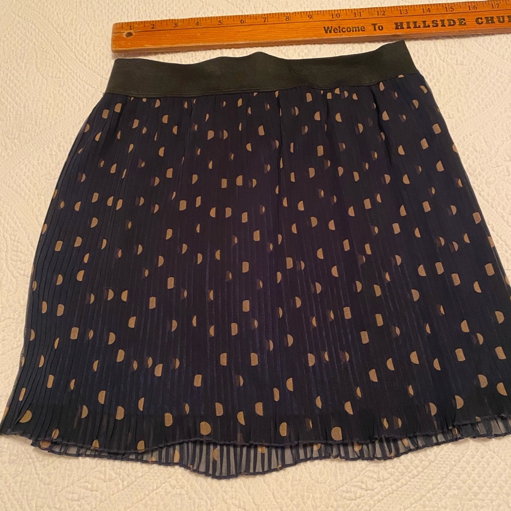 Forever 21 Navy and Tan Pleated Mini Skirt